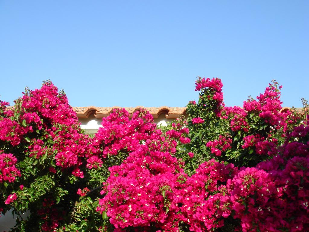 Hotel Monte Dos Arneiros Lavre Exterior foto